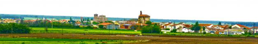 Banner de cabecera